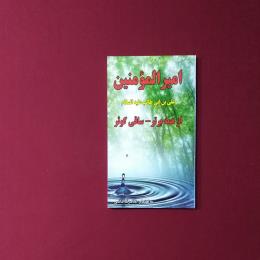 امیرالمؤمنین ساقی کوثر از همه برتر
