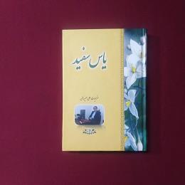 یاس سفید